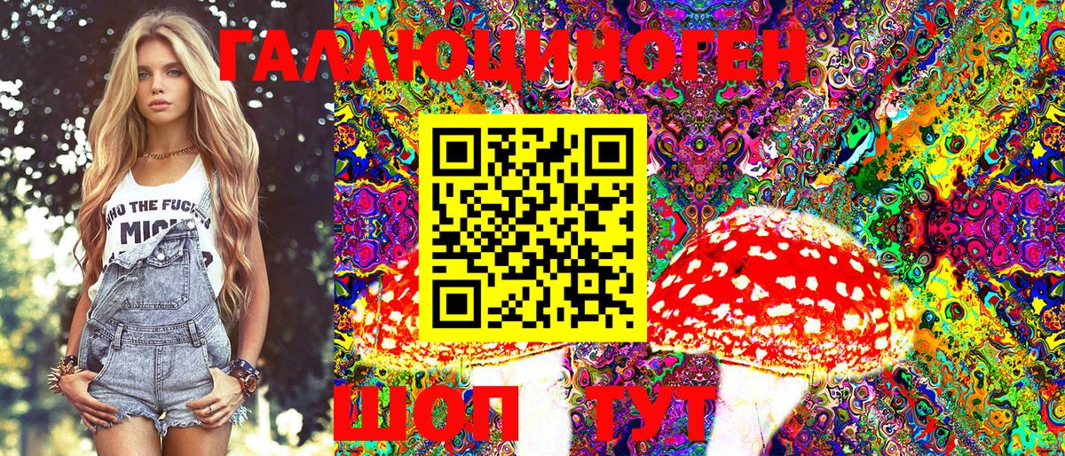 Псилоцибиновые грибы Psilocybine cubensis  Вход с VPN  Тайшет 